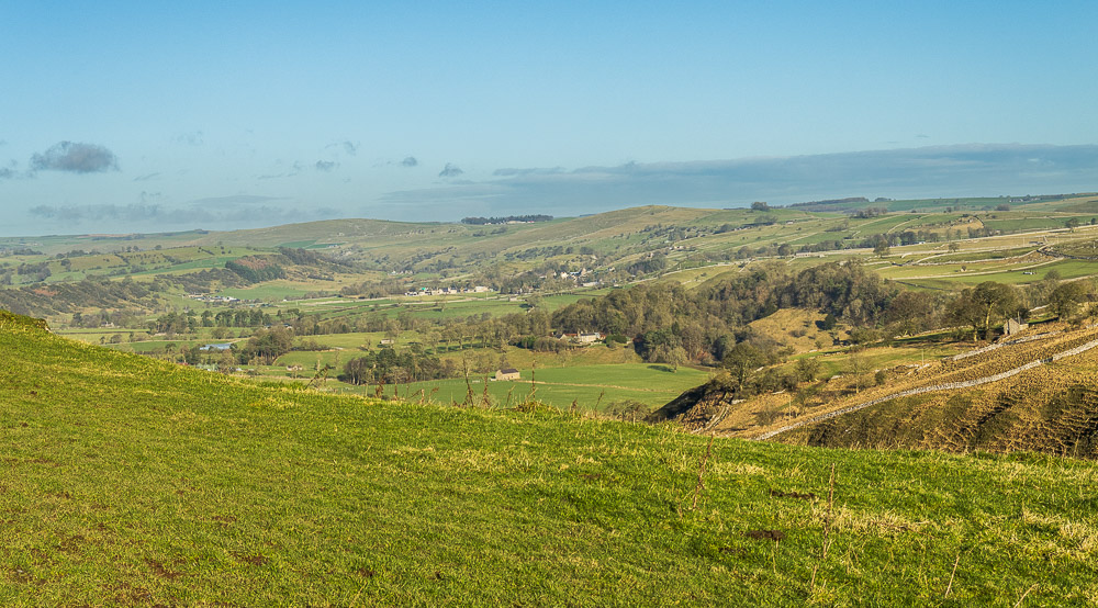 Carder Low